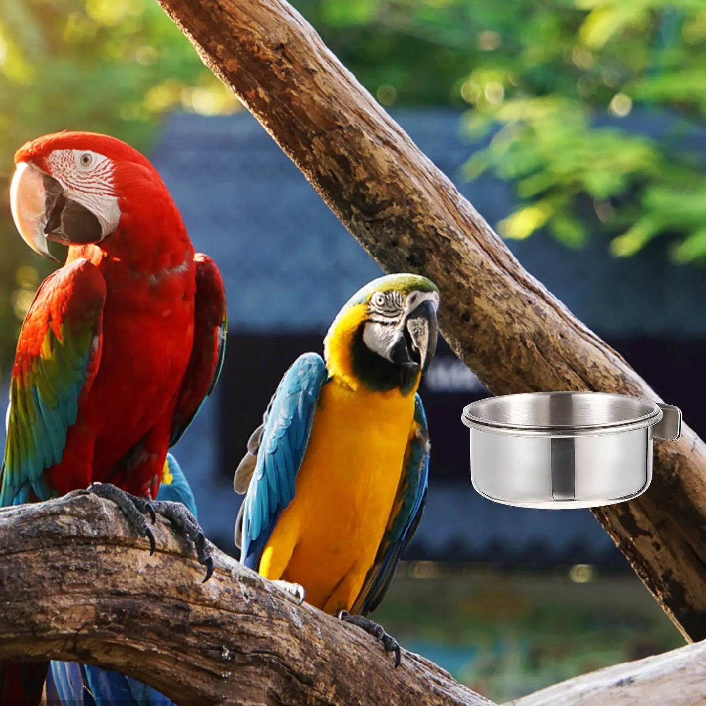 2 Sets Parrot Feed Cup Stainless Bird Feeder Bird Food Bowl Cage Parrot Trough Pet Supplies