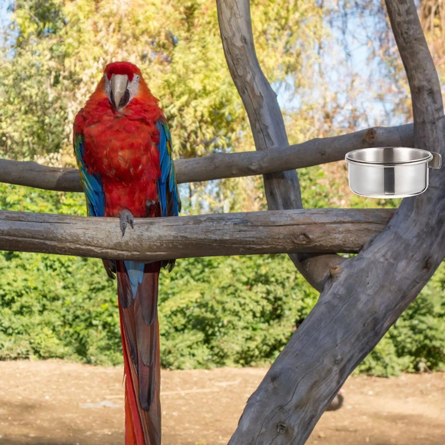 2 Sets Parrot Feed Cup Stainless Bird Feeder Bird Food Bowl Cage Parrot Trough Pet Supplies