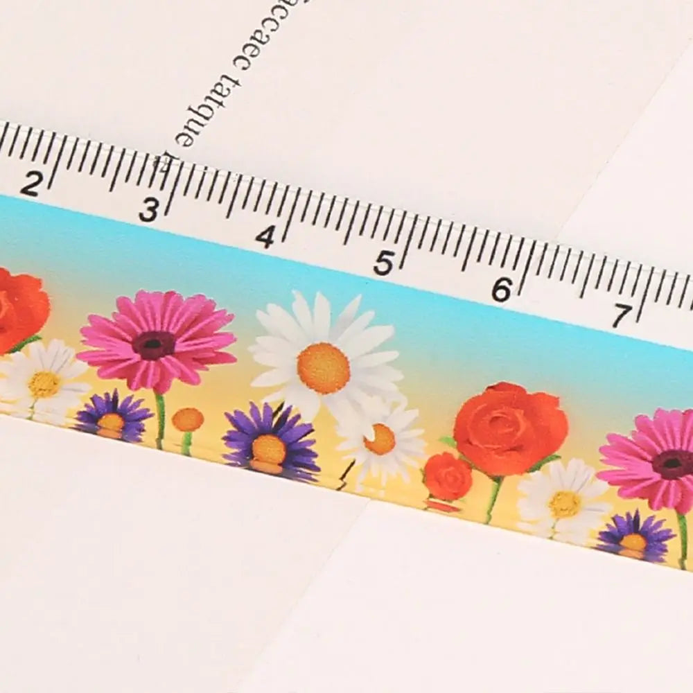 Cute Acrylic Straight Rulers Kawaii School Office Supplies Planner Accessories Student Prize Drawing tools