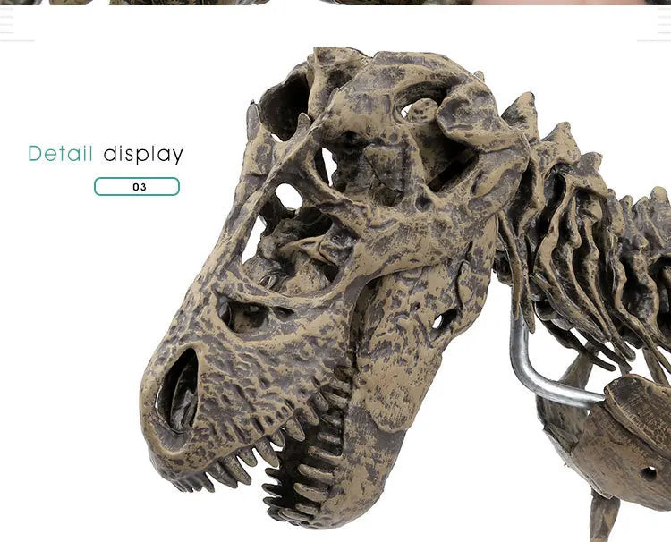 70cm DIY Dinosaur Skeleton Toys Ornament Simulation T-Rex Model Jurassic Assembled Skeleton Park Fossilized Tyrannosaurus Dragon