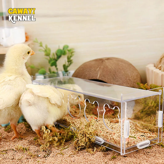 3/5 Holes Rutin Chicken Acrylic Feeder Transparent Splash-Proof Food Basin Large-Capacity Trough Feeding Box Put Grain Feed Box