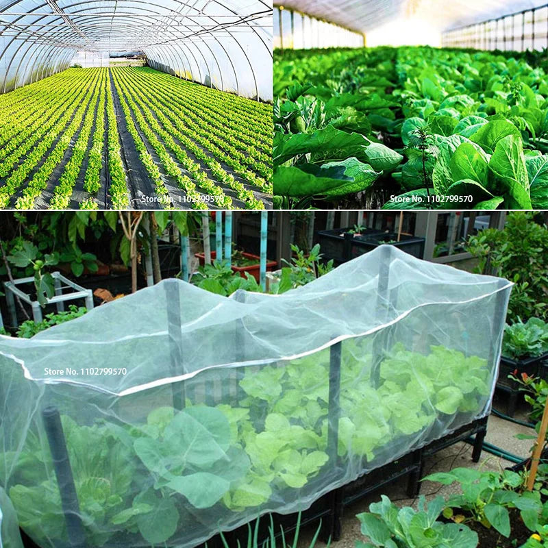 60 Mesh Plant Vegetables Insect Protection Net Garden Fruit Care Cover Flowers Protective Net Greenhouse Pest Control Anti-Bird