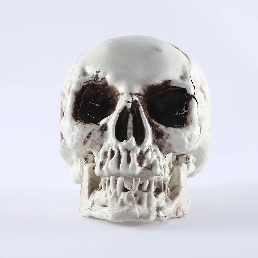 Halloween Skull Decor Prop Skeleton Head Realistic Looking Skulls for Adult Halloween Style Haunted House Party Home Decoration