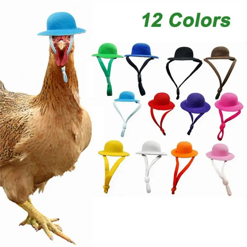 1PCS Chicken Hats For Hen Small Pets Funny Chick Accessories Feather Top Poule 2022 New Fowl Supplies Шлем Для Kурицы