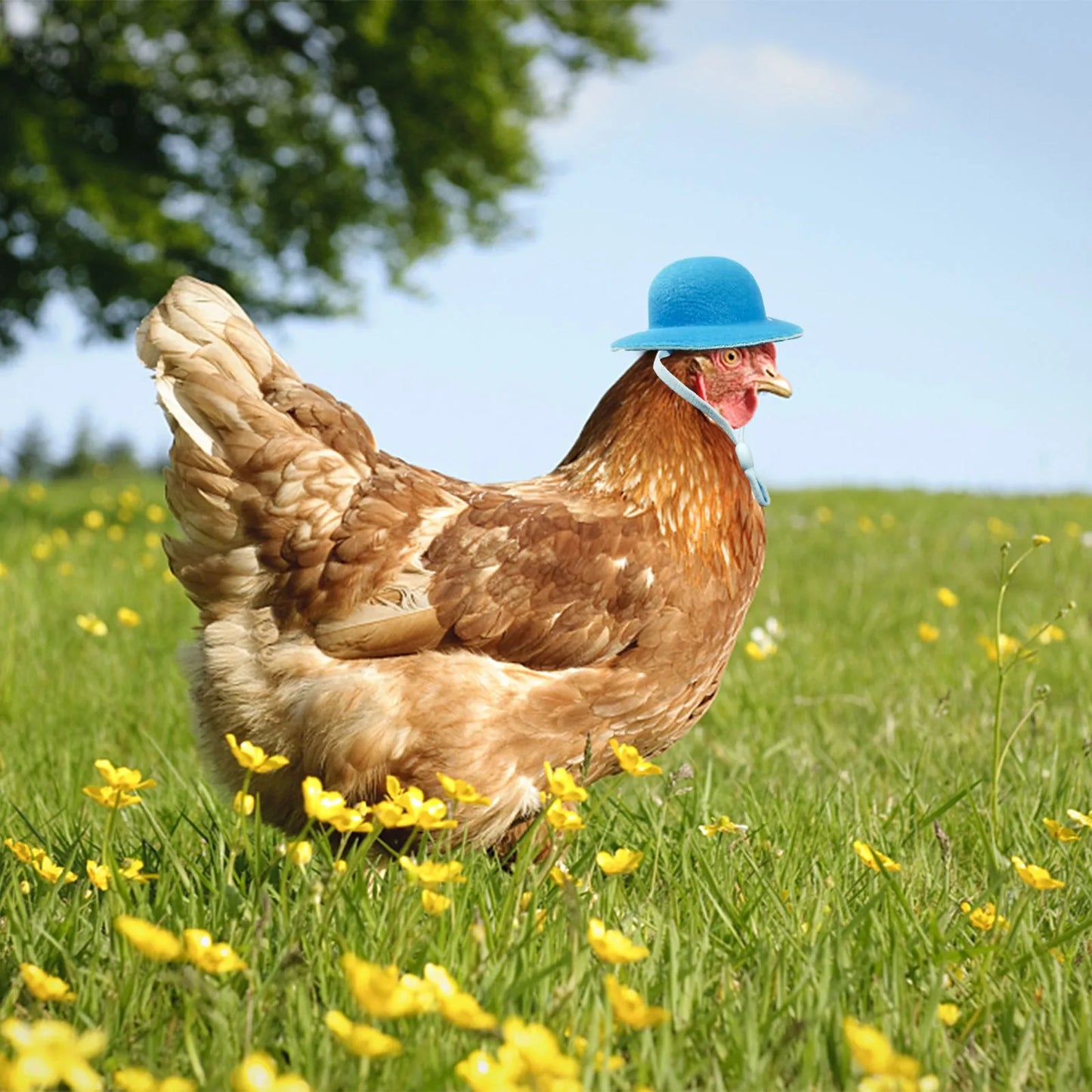 Chicken Hat For Hens Tiny Pets Funny Chicken Accessories Hen Top Hat For Rooster Duck Parrot Hamster Poultry Stylish Show Costum