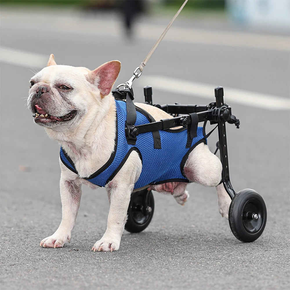 Pet Walk Booster Dog Wheelchair Disability Adjustable Dog Hind Legs Bracket Cat Dog Injured And Weak Rehabilitation Aid Car