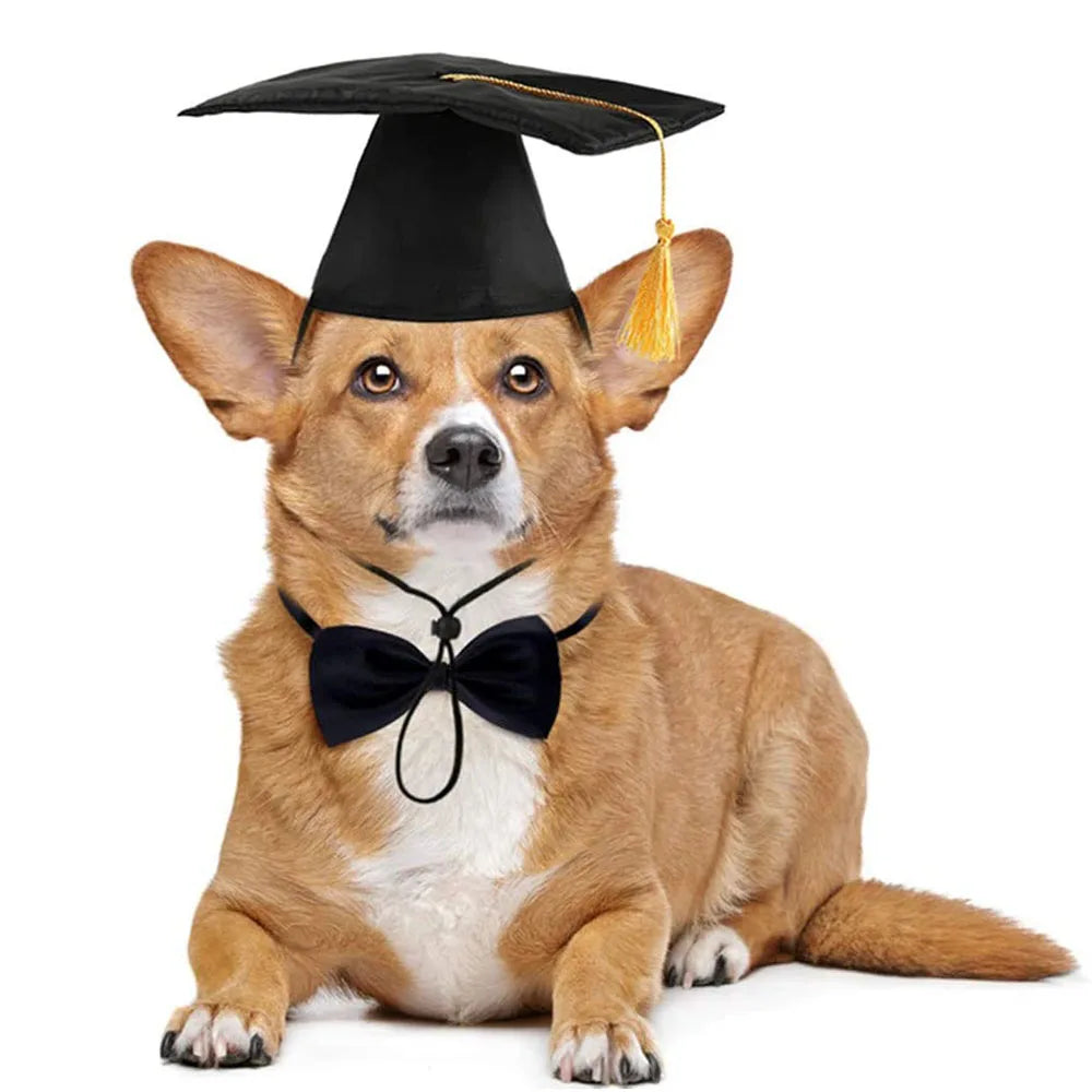 Dog Graduation Cap Funny Pet Grad Costume for Small Medium Large Dogs Puppy Dog Cap Doctor Hat Cat Graduation Apparel Accessory