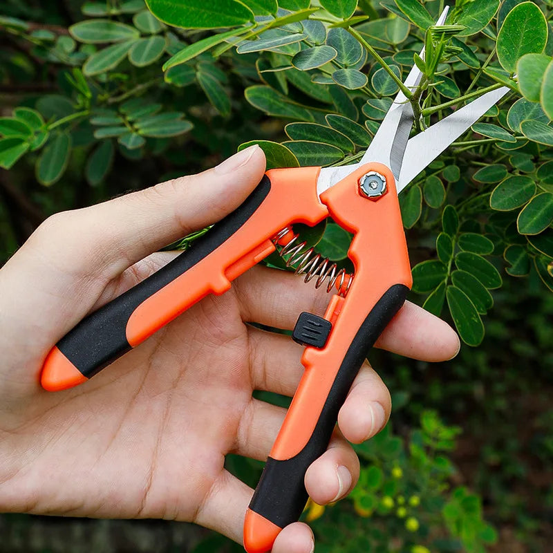 Garden Pruning Shear Straight Blade Shears Household Leaf Potted Branch Pruner Stainless Steel Elbow Cut Tools for Shrub Trimmer