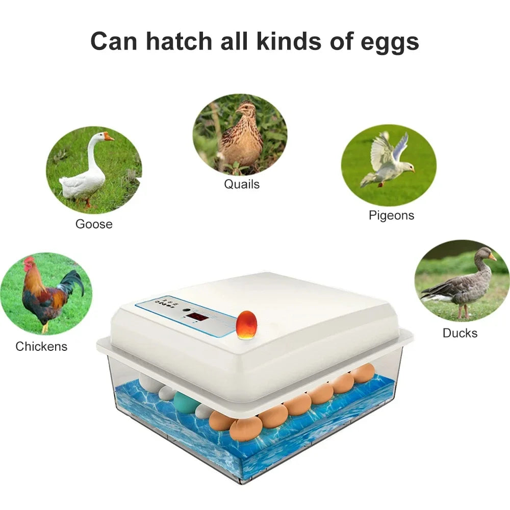 20 Eggs Incubator Set Fully Automatic Household Brooder Farm Chicken Goose Duck Bird Egg Incubator