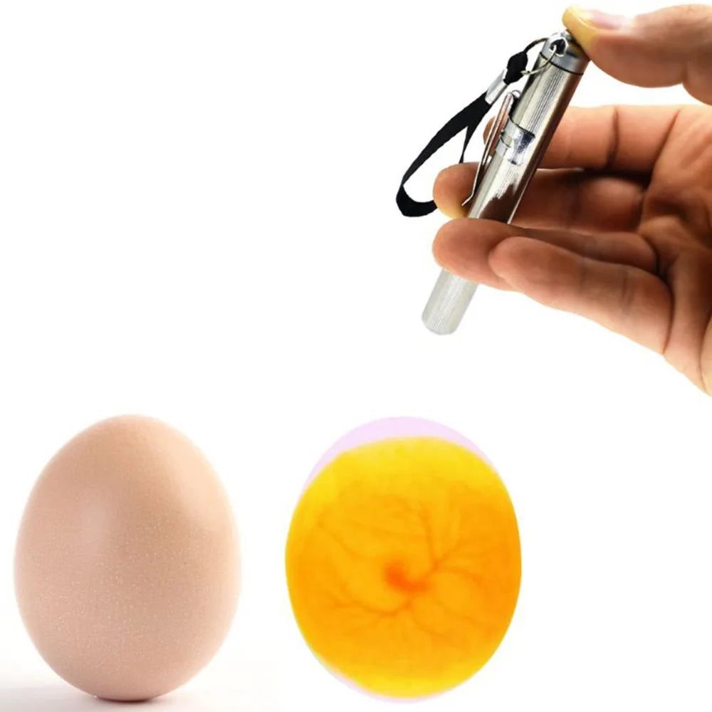 Egg Candler Tester, Bright Cool LED Light Candling Lamp for All Chicken Dark Quail Duck Canary Eggs