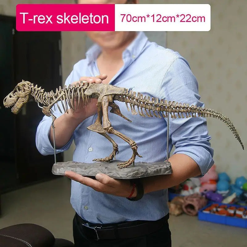 70cm DIY Dinosaur Skeleton Toys Ornament Simulation T-Rex Model Jurassic Assembled Skeleton Park Fossilized Tyrannosaurus Dragon