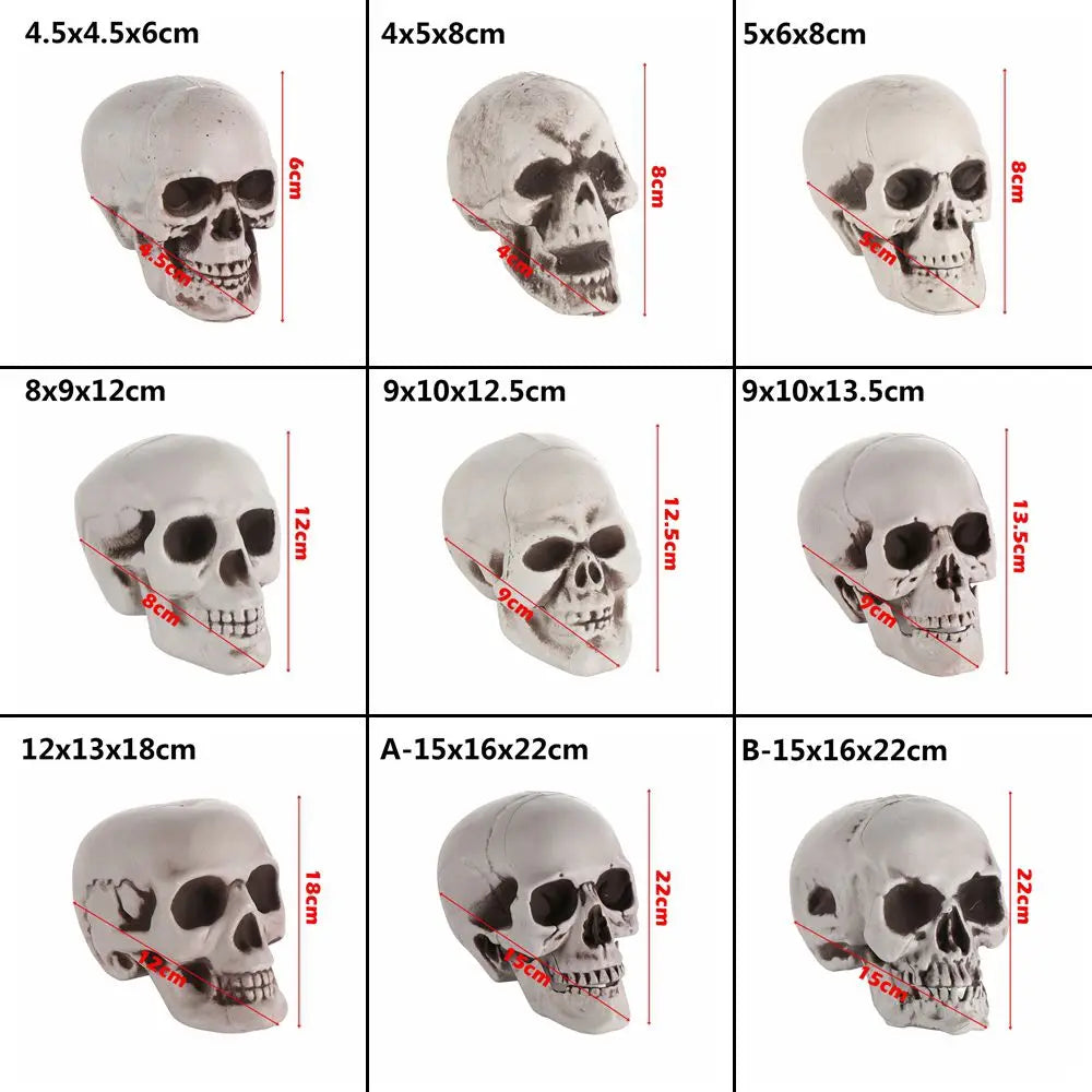 All Size Human Skull Head Skeleton Halloween Style Photo Prop Home Party Decor Game Supplies