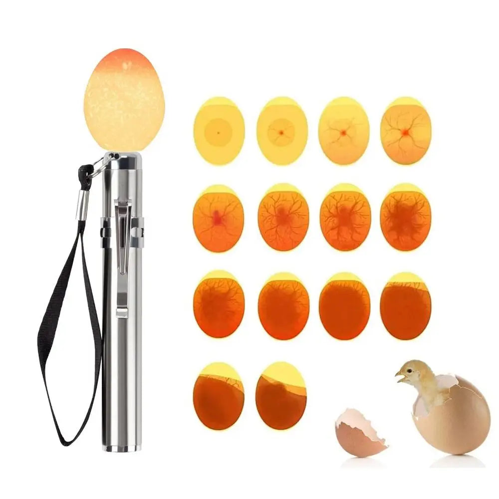 Egg Candler Tester, Bright Cool LED Light Candling Lamp for All Chicken Dark Quail Duck Canary Eggs