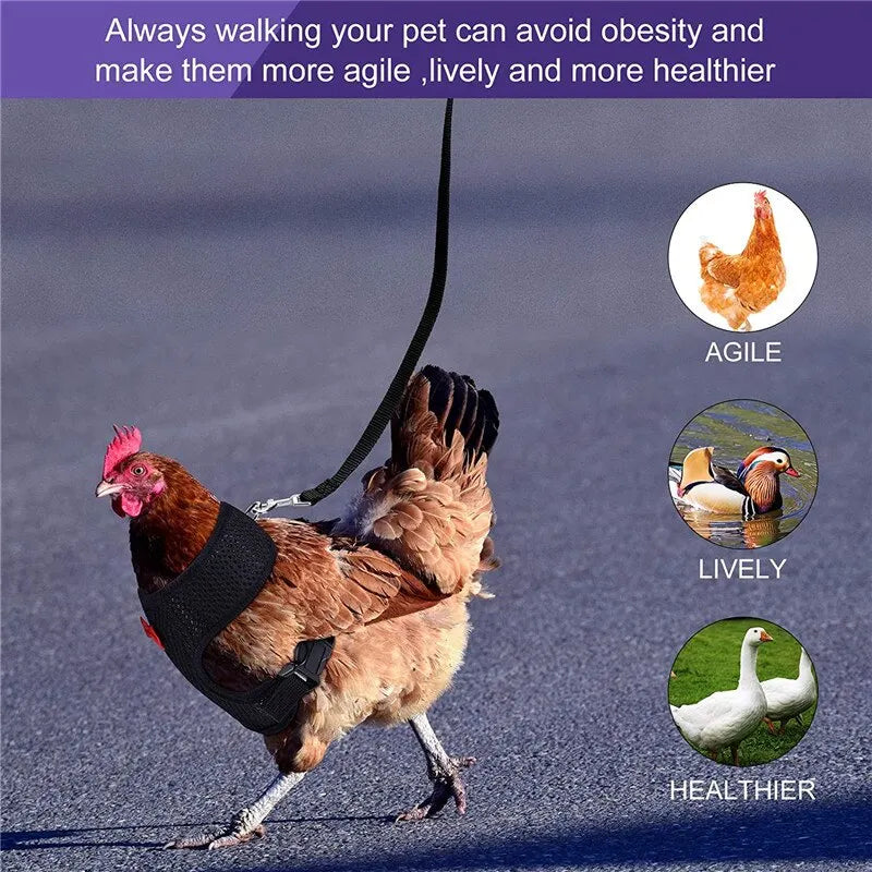 Pet Adjustable Harness Leash for Chicken Puppy Comfortable Breathable Pet Vest for Small Dogs Duck Goose Training Accessories