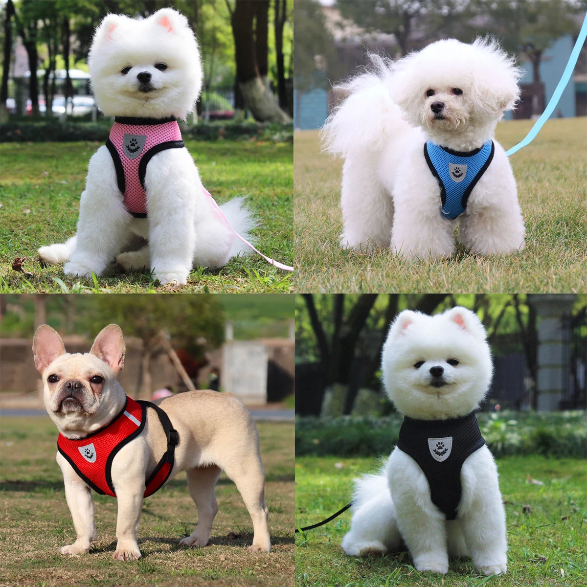 Dog Harness Outdoor Lead Leash Training Soft Adjustable Collar For Puppy Breathable Harness For Small Dog Pet Supplies