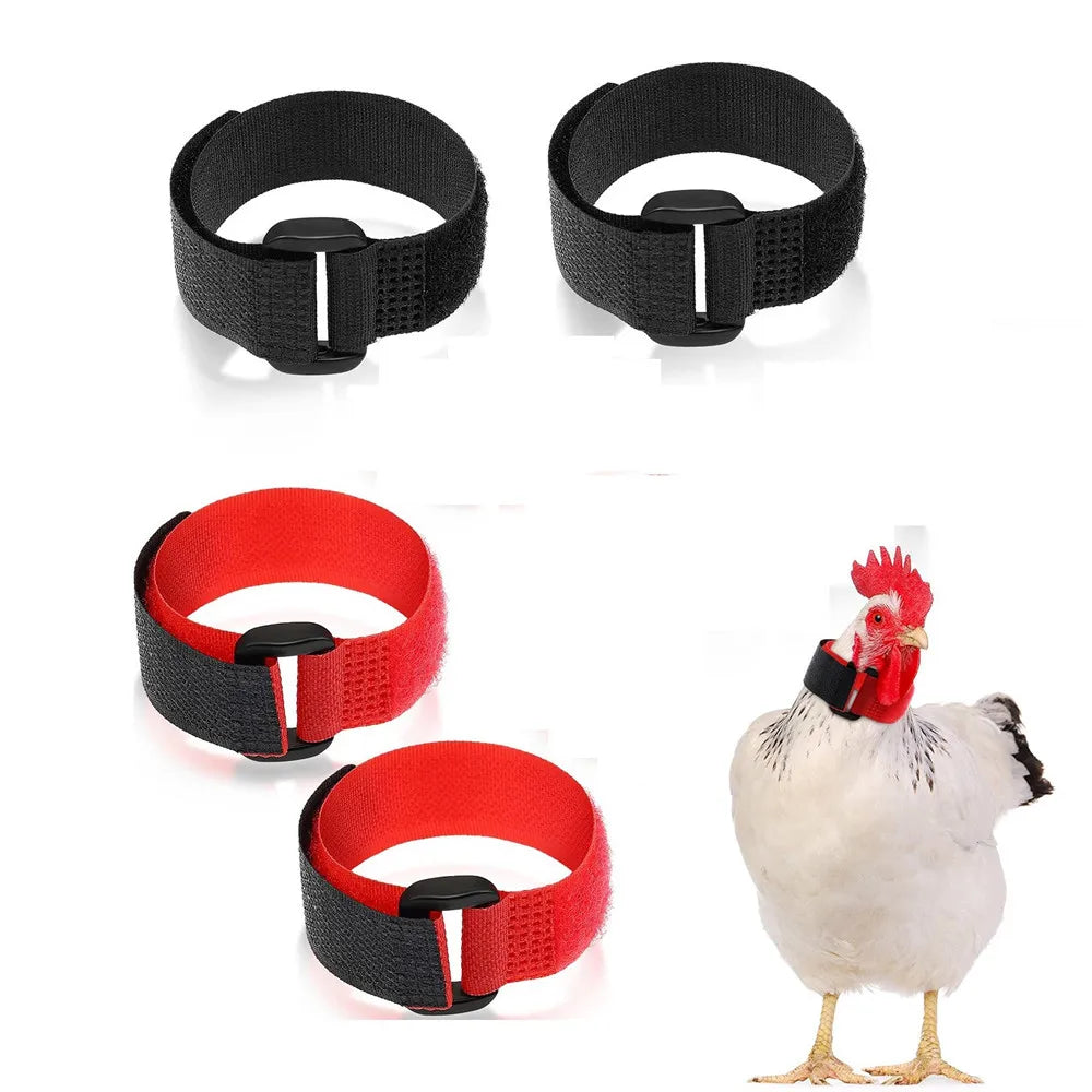 4PCS Rooster Collar Chicken Collars Red + Black Anti-Hook Noise Free Neckband No Crow Noise Neck Belt for Roosters Pet Supplies