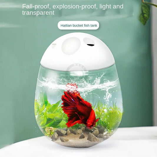 Broken goldfish ball tank betta fish plastic transparent fish breeding oval dinosaur egg, turtle with lid breeding