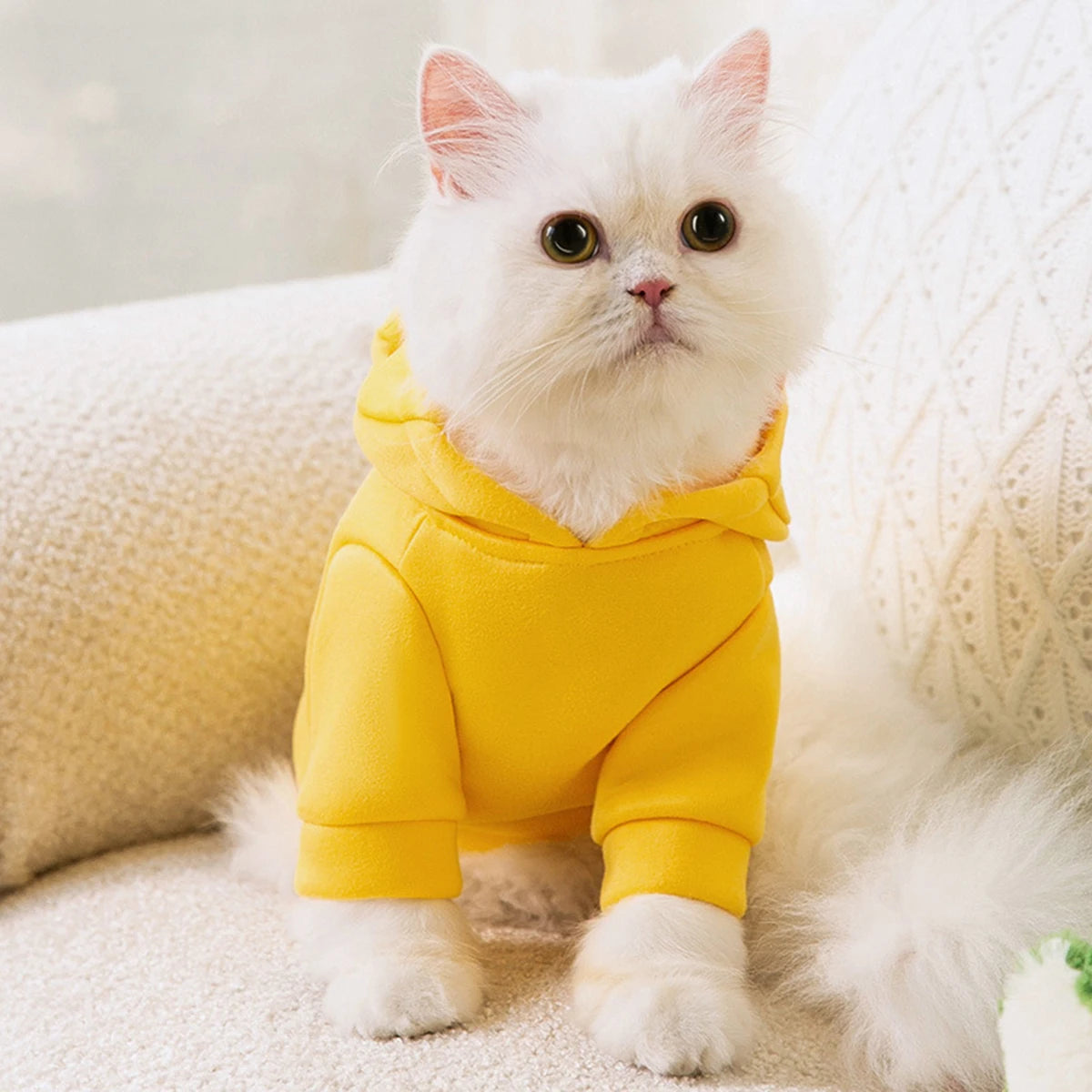 Halloween Cat Puppy Hoodies Autumn Winter Pet Pullovers for Small Dogs Cats Sphynx Clothing Kitten Costume ropa para gatos