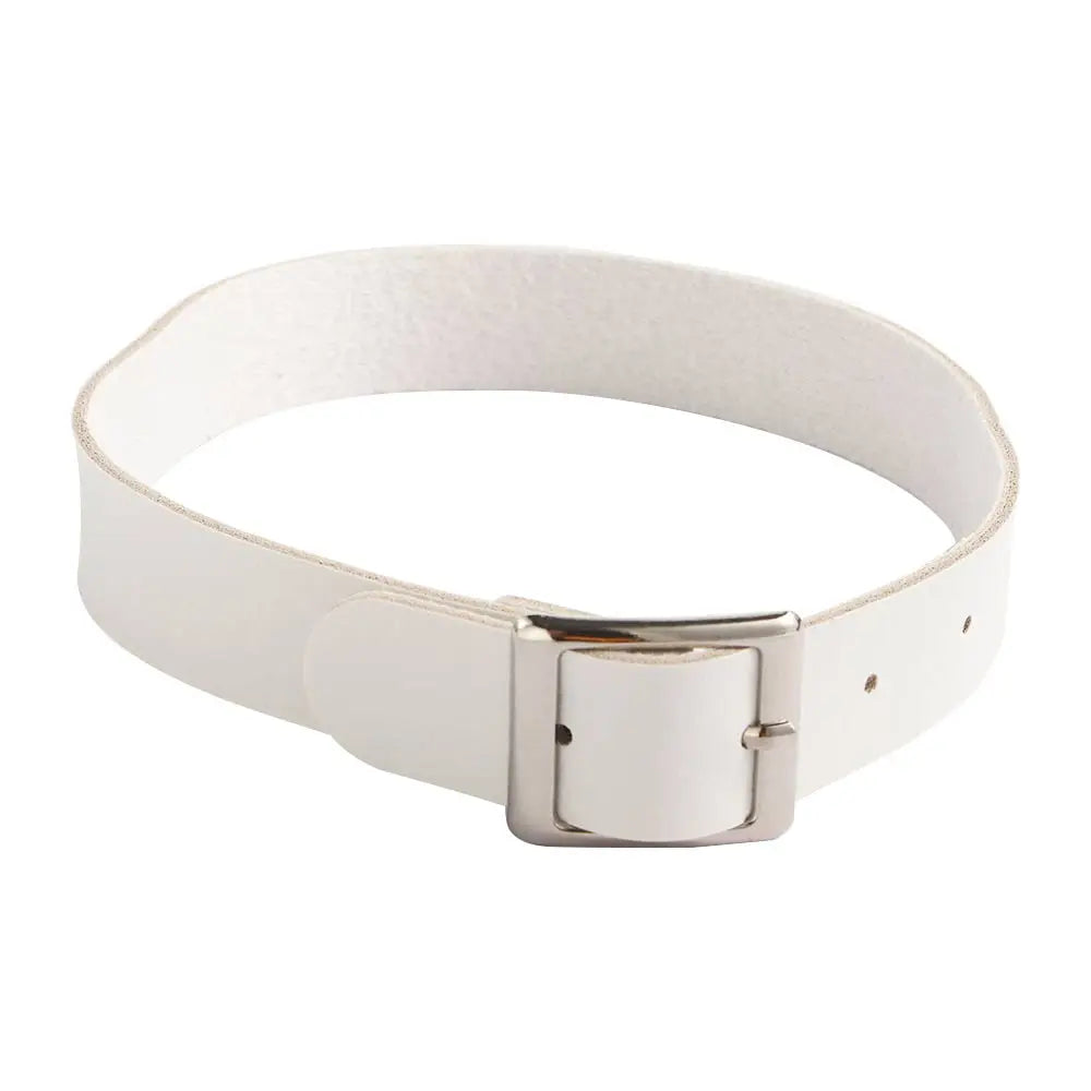 Fashion Gothic Punk Collar Necklace PU Leather Choker Necklace Buckle Collar