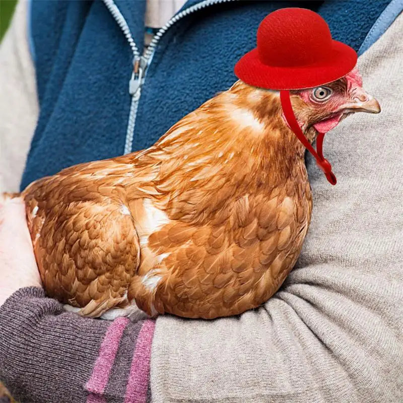 1PCS Chicken Hats For Hen Small Pets Funny Chick Accessories Feather Top Poule 2022 New Fowl Supplies Шлем Для Kурицы