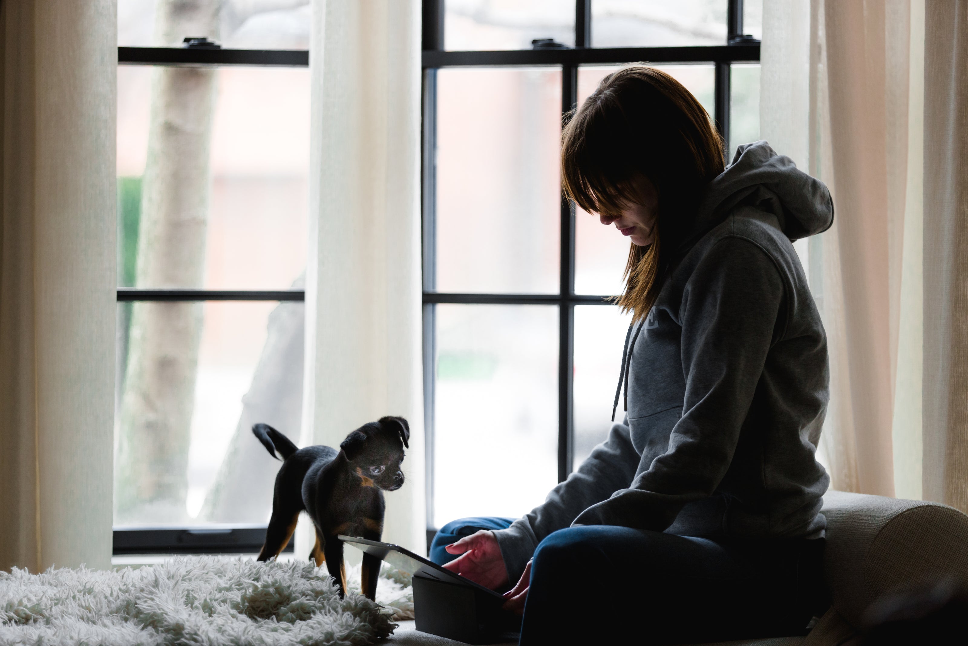 woman-works-while-dog-watches - Supershopbis